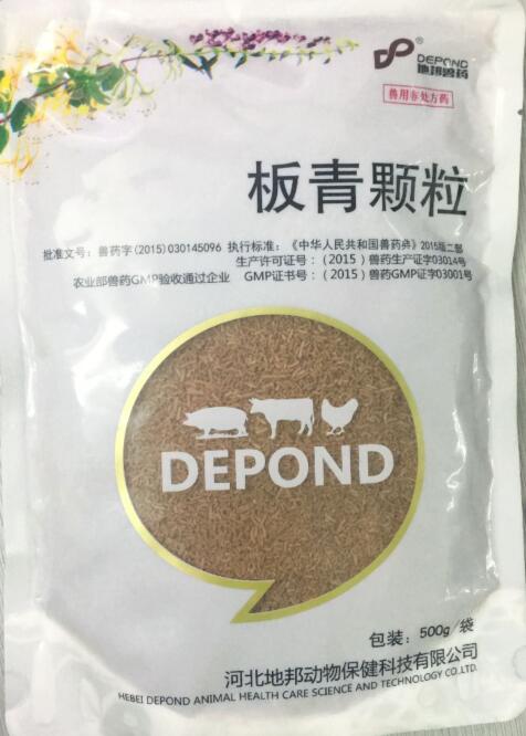 板青顆粒-清熱解毒，涼血。主治風熱感冒，咽喉腫痛，熱病發斑。-河北地邦