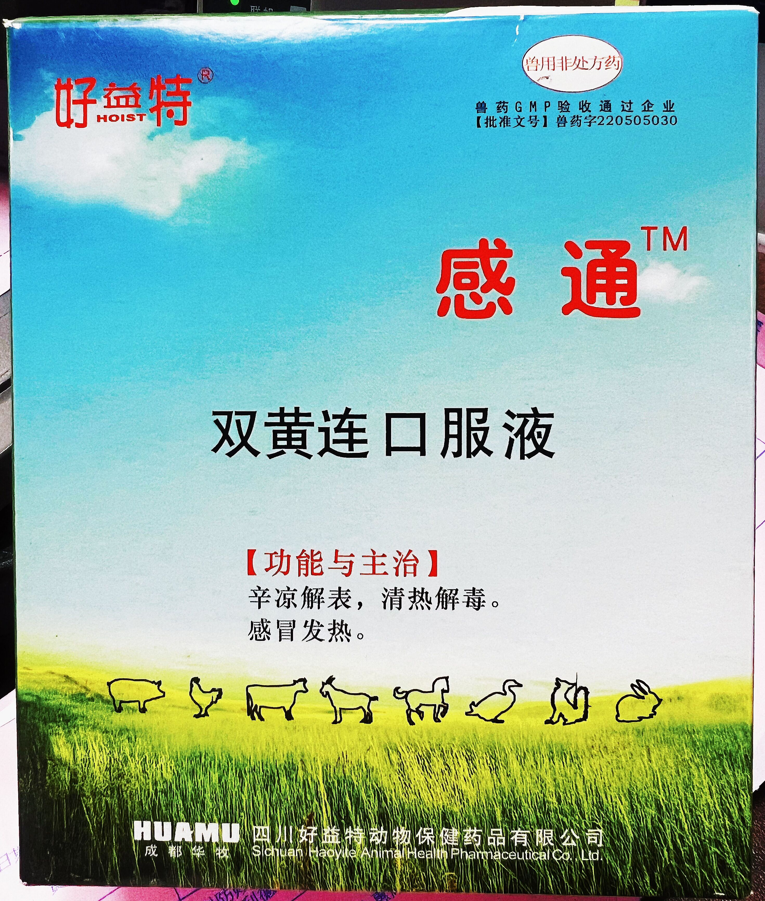 雙黃連口服液，辛涼解表，清熱解毒，感冒發(fā)熱，體溫升高，發(fā)熱與惡寒同時并見