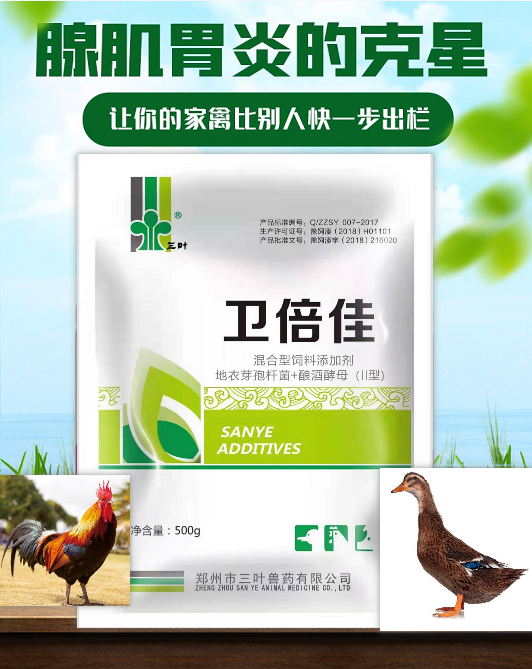 【新產(chǎn)品】腺肌胃炎的克星，讓你的家禽比別人更快一步出欄！