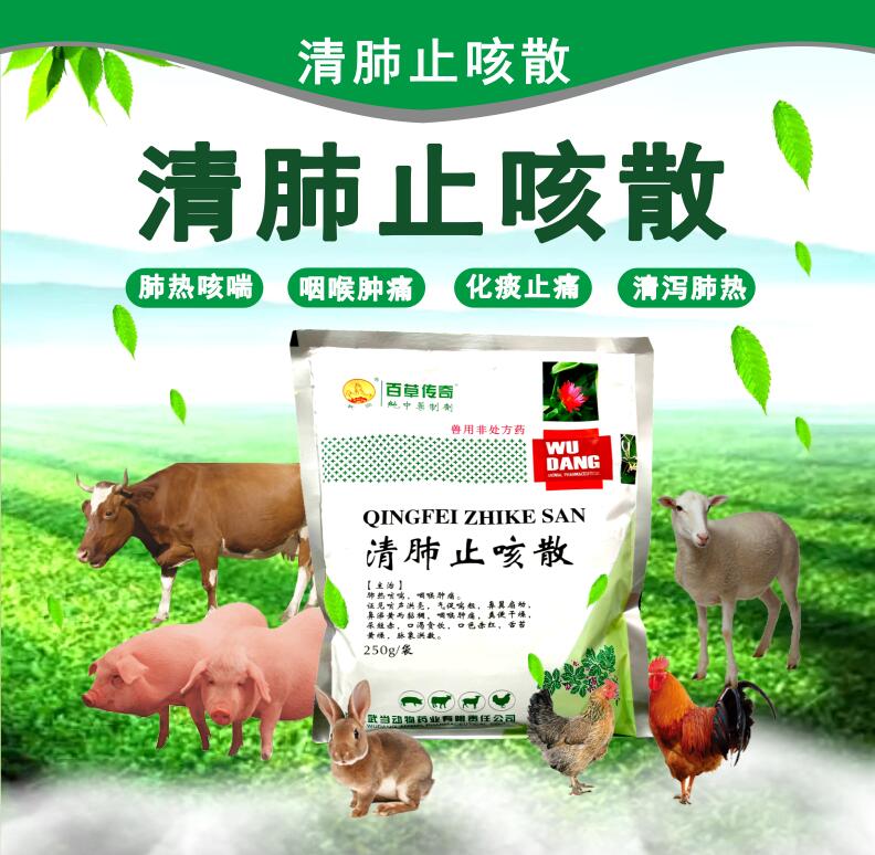 清肺止咳散 清瀉肺熱，化痰止痛，咳喘，咽喉腫痛