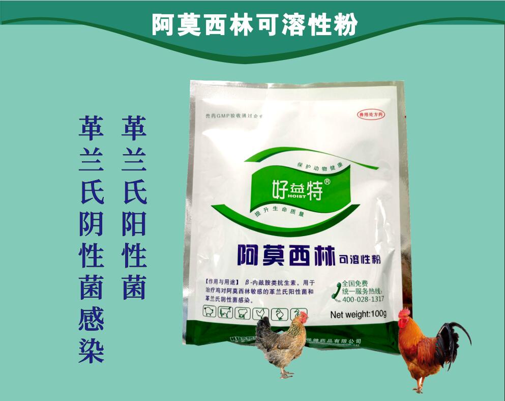 阿莫西林粉，治療動物革蘭氏陽性菌和革蘭氏陰性菌感染