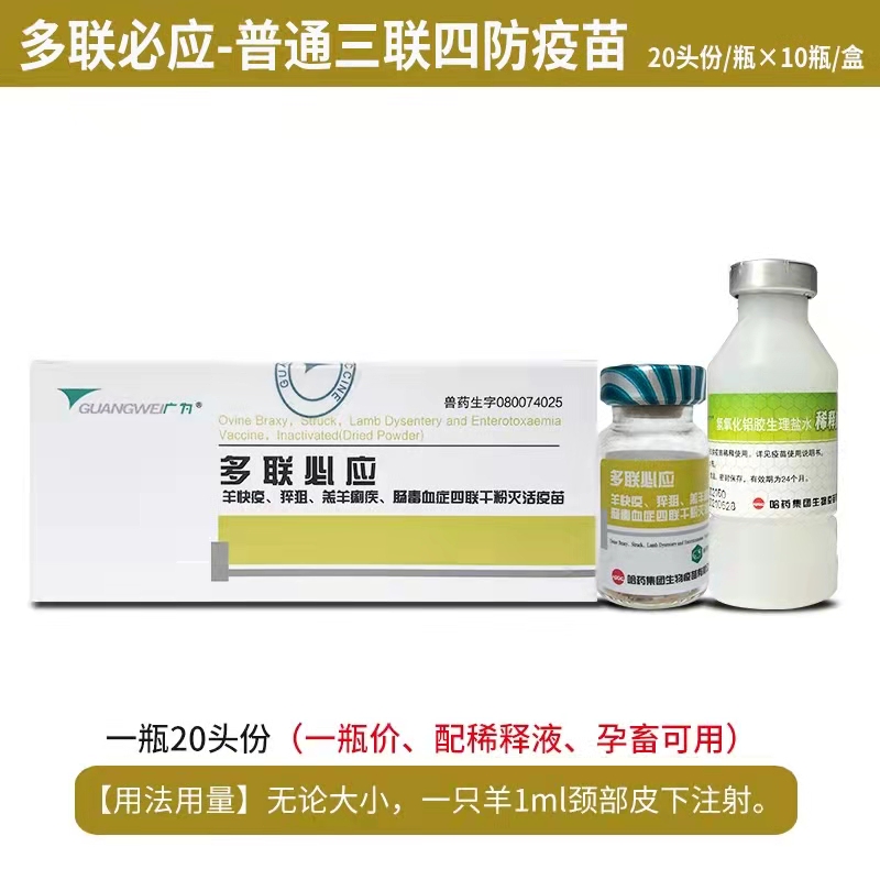 多聯(lián)必應-羊快疫、猝疽、羔羊痢疾、腸毒血癥四聯(lián)干粉滅活疫苗