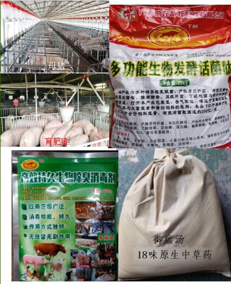 自動(dòng)料線防控非洲豬瘟組合產(chǎn)品.jpg