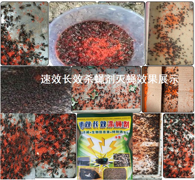 速效長(zhǎng)效殺蠅劑滅蠅效果展示.jpg